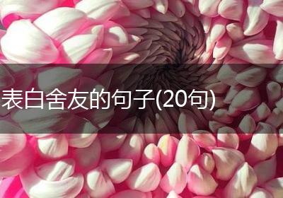 表白舍友的句子(20句)