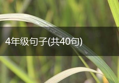 4年级句子(共40句)