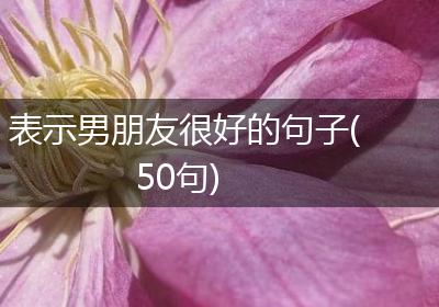 表示男朋友很好的句子(50句)