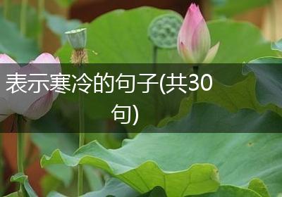 表示寒冷的句子(共30句)
