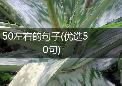 50左右的句子(优选50句)