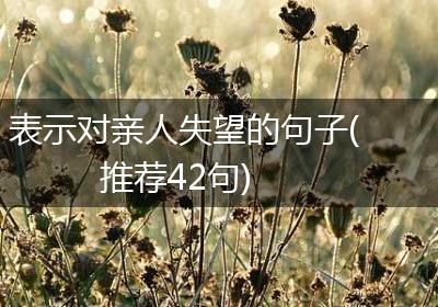 表示对亲人失望的句子(推荐42句)