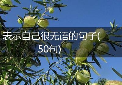 表示自己很无语的句子(50句)