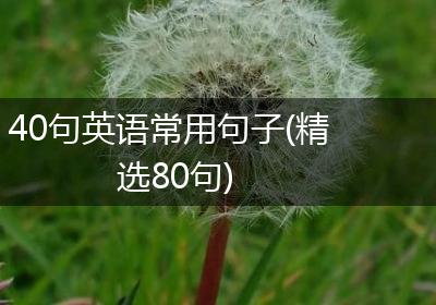 40句英语常用句子(精选80句)