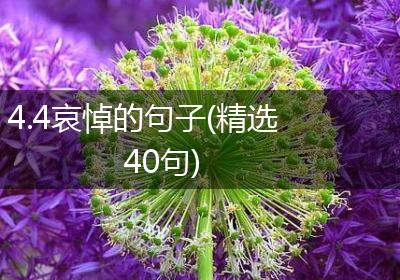 4.4哀悼的句子(精选40句)