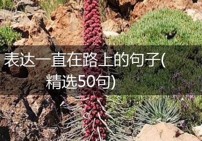 表达一直在路上的句子(精选50句)