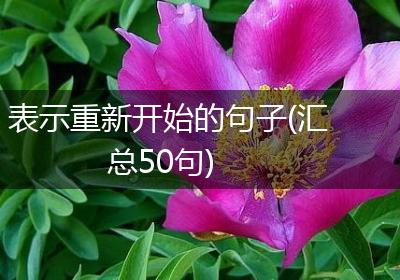 表示重新开始的句子(汇总50句)