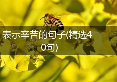 表示辛苦的句子(精选40句)