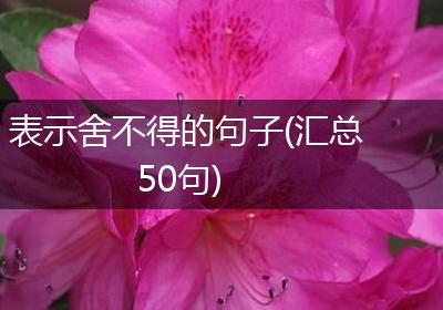 表示舍不得的句子(汇总50句)