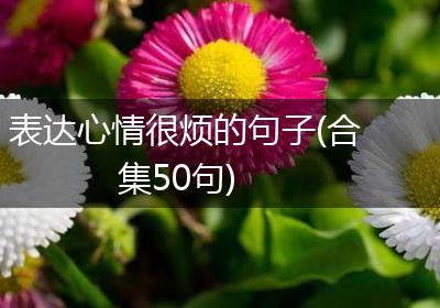 表达心情很烦的句子(合集50句)