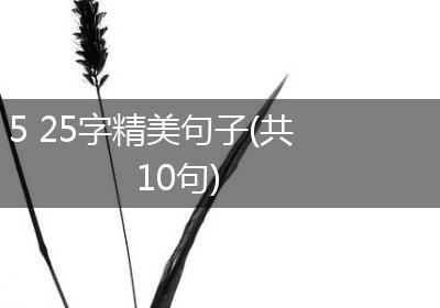 5 25字精美句子(共10句)