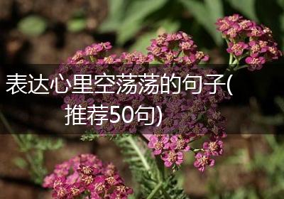表达心里空荡荡的句子(推荐50句)