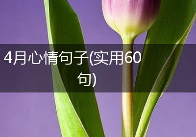 4月心情句子(实用60句)