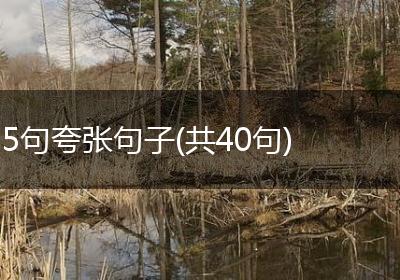 5句夸张句子(共40句)