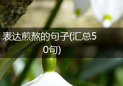 表达煎熬的句子(汇总50句)