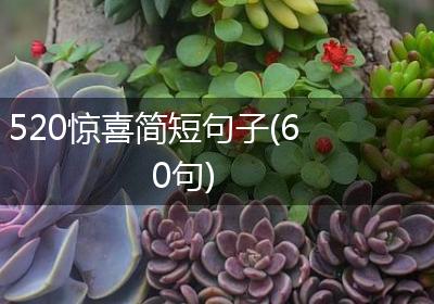 520惊喜简短句子(60句)