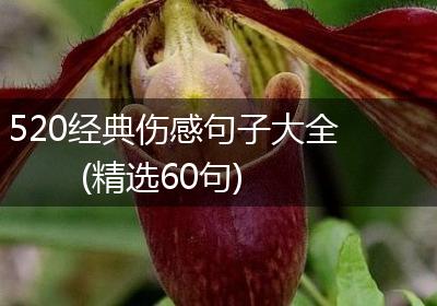 520经典伤感句子大全(精选60句)