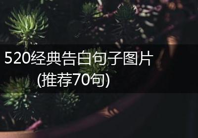 520经典告白句子图片(推荐70句)