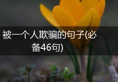 被一个人欺骗的句子(必备46句)