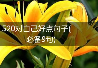 520对自己好点句子(必备9句)