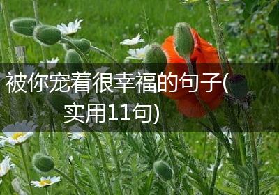 被你宠着很幸福的句子(实用11句)