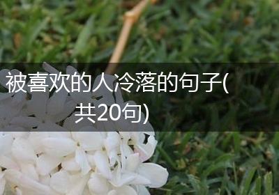 被喜欢的人冷落的句子(共20句)