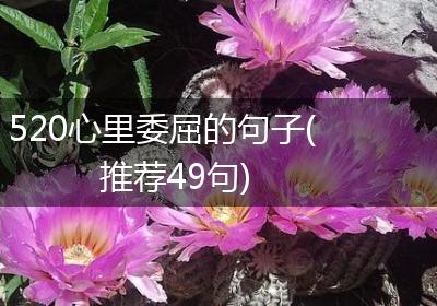 520心里委屈的句子(推荐49句)