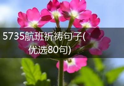 5735航班祈祷句子(优选80句)