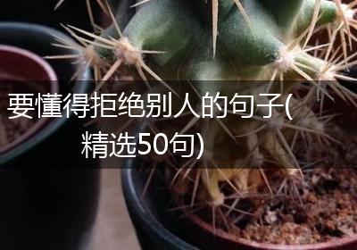 要懂得拒绝别人的句子(精选50句)
