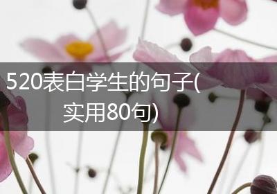 520表白学生的句子(实用80句)