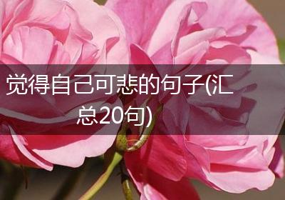 觉得自己可悲的句子(汇总20句)