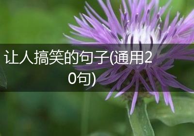 让人搞笑的句子(通用20句)