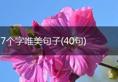 7个字唯美句子(40句)
