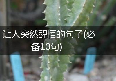 让人突然醒悟的句子(必备10句)