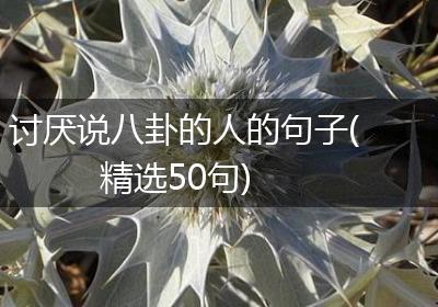 讨厌说八卦的人的句子(精选50句)