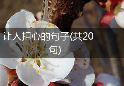 让人担心的句子(共20句)