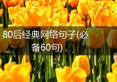 80后经典网络句子(必备60句)