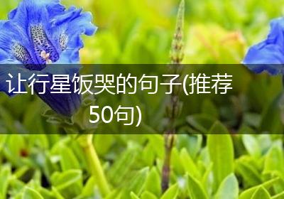让行星饭哭的句子(推荐50句)