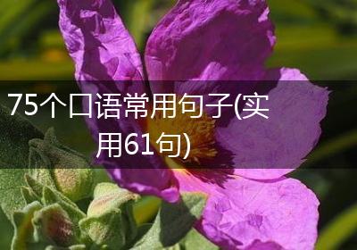 75个口语常用句子(实用61句)