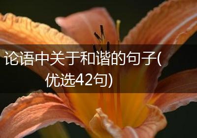 论语中关于和谐的句子(优选42句)
