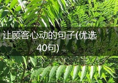 让顾客心动的句子(优选40句)