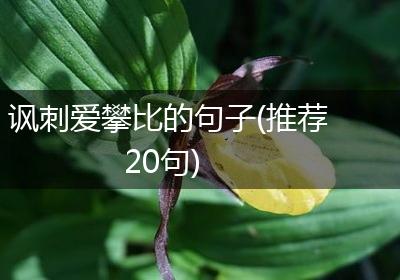 讽刺爱攀比的句子(推荐20句)
