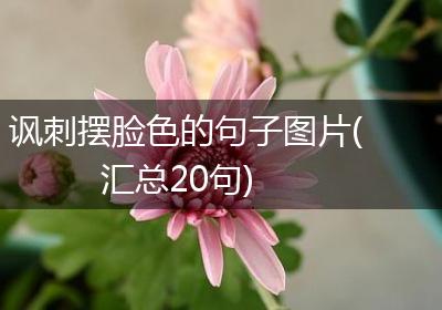 讽刺摆脸色的句子图片(汇总20句)