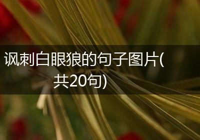 讽刺白眼狼的句子图片(共20句)