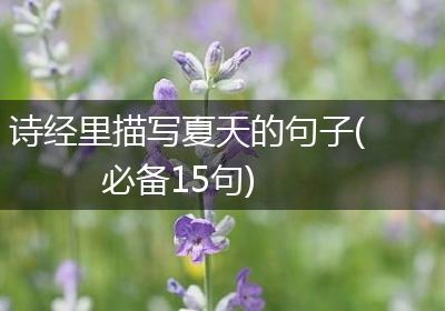 诗经里描写夏天的句子(必备15句)