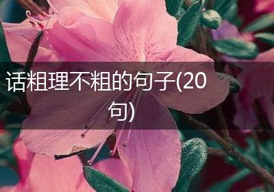 话粗理不粗的句子(20句)