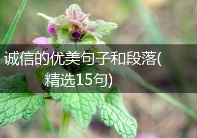 诚信的优美句子和段落(精选15句)