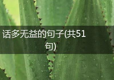 话多无益的句子(共51句)
