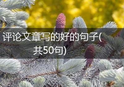 评论文章写的好的句子(共50句)