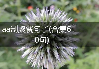 aa制聚餐句子(合集60句)